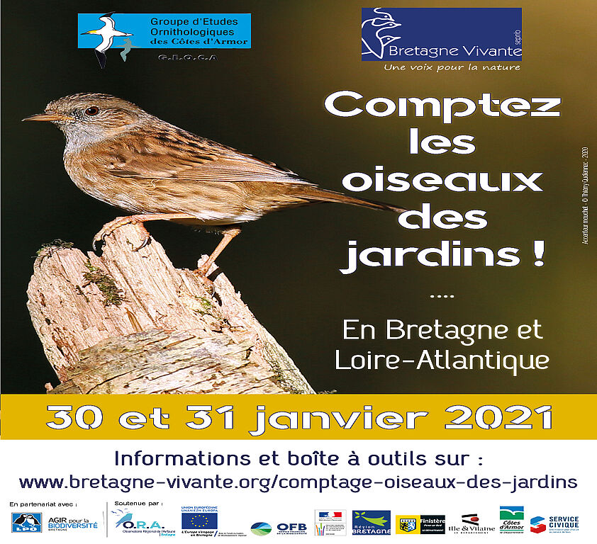 Op Ration Comptez Les Oiseaux Des Jardins Treillieres